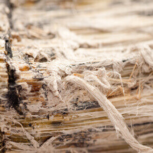 PTTC-E-Learning-Asbestos-Awareness-for-Architects-Training-Course